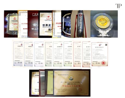 緹派多功能智能衛(wèi)浴工程技術研究中心榮獲市級認定，引領技術咨詢新篇章