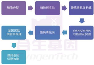 合生基因 基因沉默技術的前沿咨詢與行業(yè)應用
